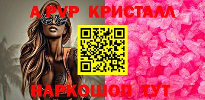 jwh Кингисепп