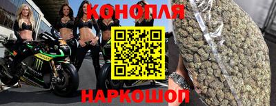 jwh Кингисепп