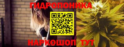 стаф Кимры