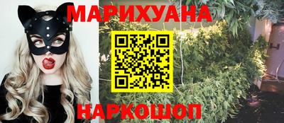 jwh Кингисепп