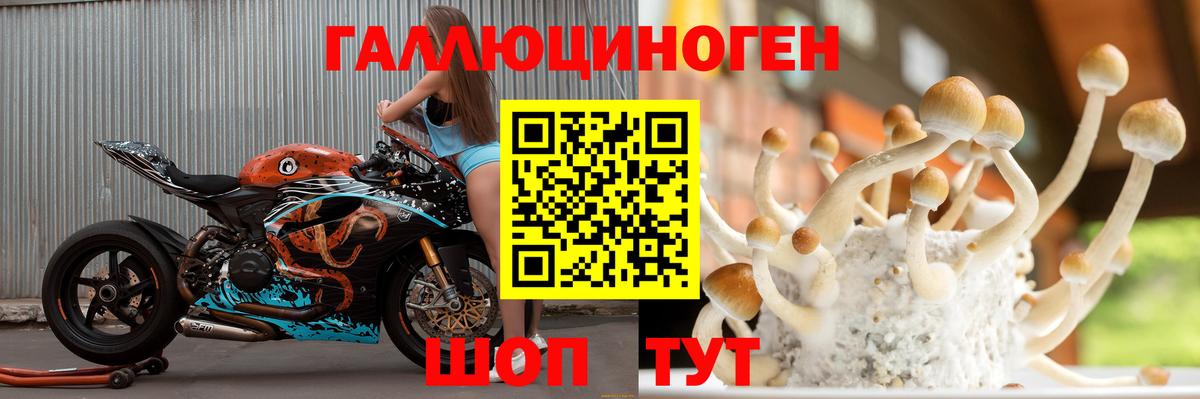 Псилоцибиновые грибы ЛСД  Вход с VPN  Улан-Удэ 